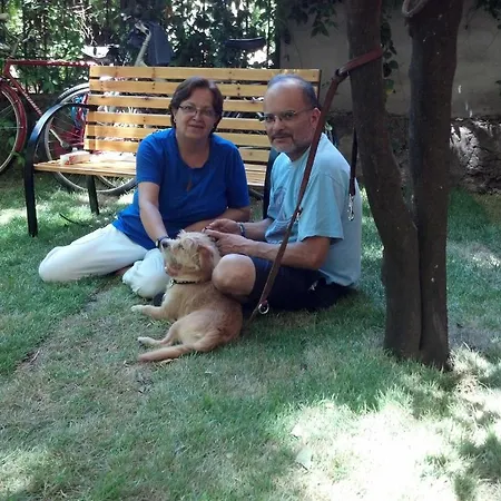 Aladino 3*