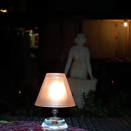 招待所 Aladino