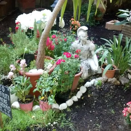 게스트하우스 Aladino