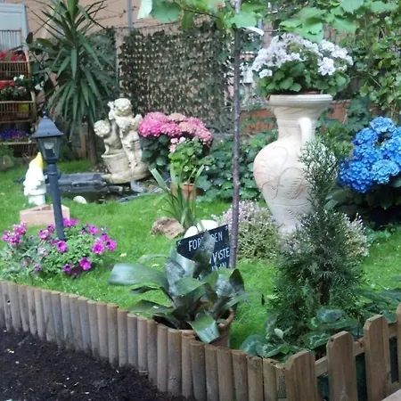 Aladino 게스트하우스