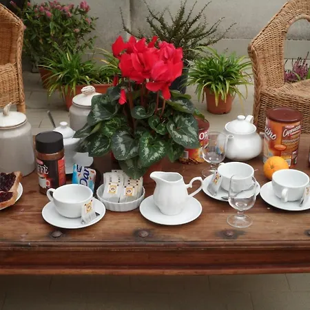 Guest house Aladino