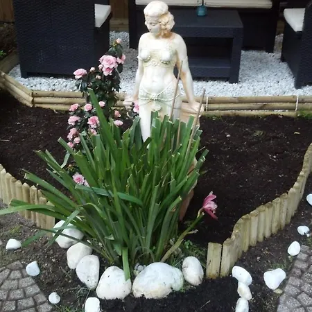 Aladino